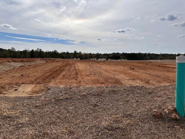 6362 Lemongrass Dr, Columbus, GA 31907 - photo 1