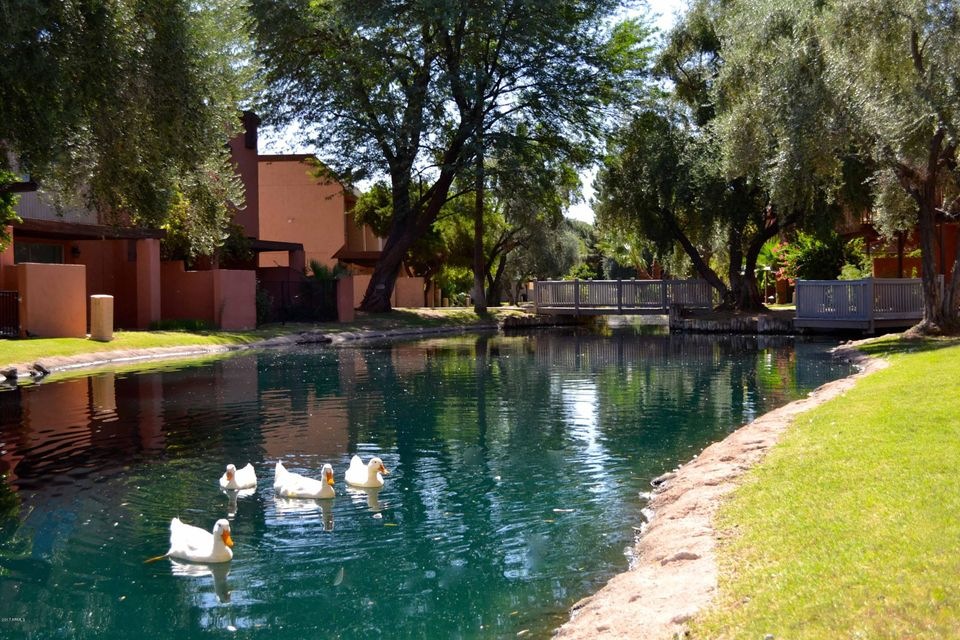 2338 W Lindner Ave unit 25, Mesa, AZ 85202 - photo 1