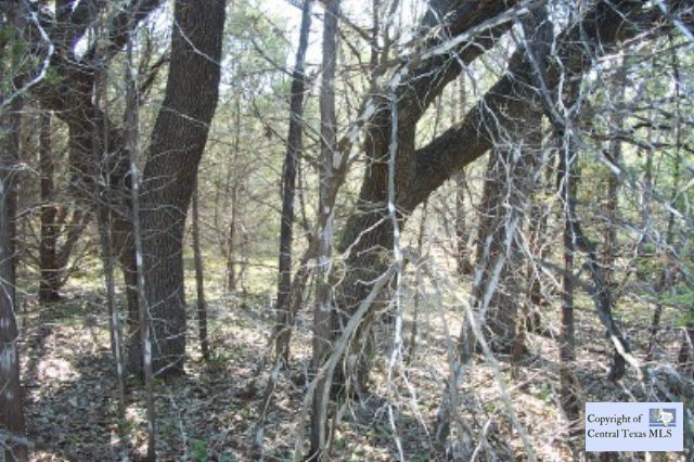 0 Rocky Ridge Loop unit 197644, Canyon Lake, TX 78133 - photo 1