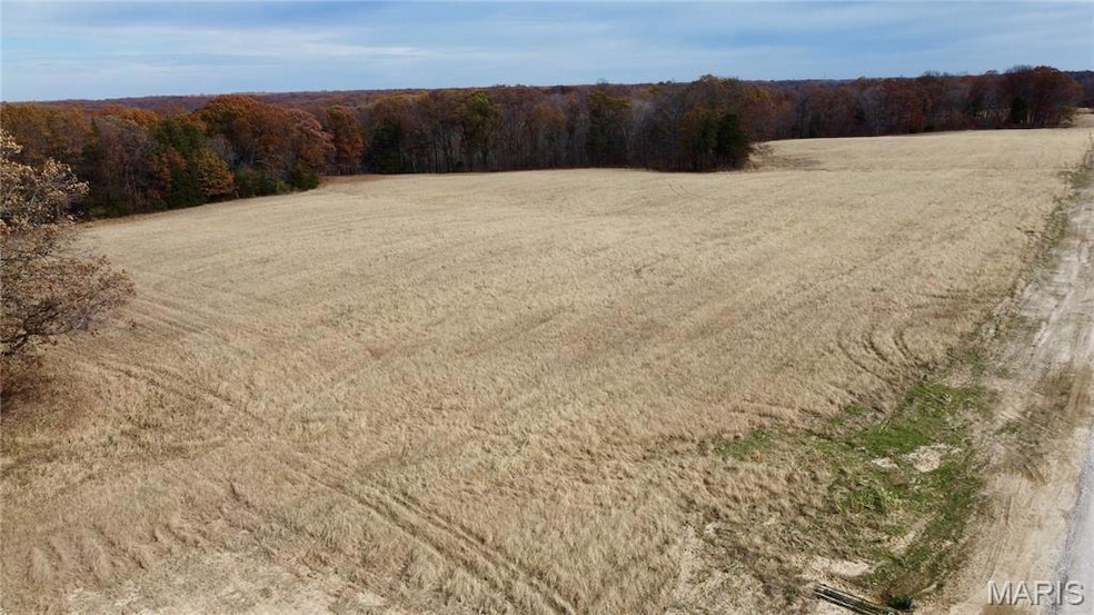 Tract 4 Polston Ln, Hickory Grove Township, MO 63357 - photo 1