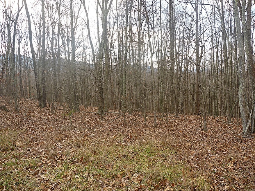 Lot with Mountain Views