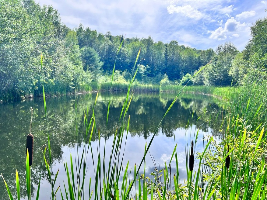 0 Buck unit 4922761, Dalton, NH 03598 - photo 1