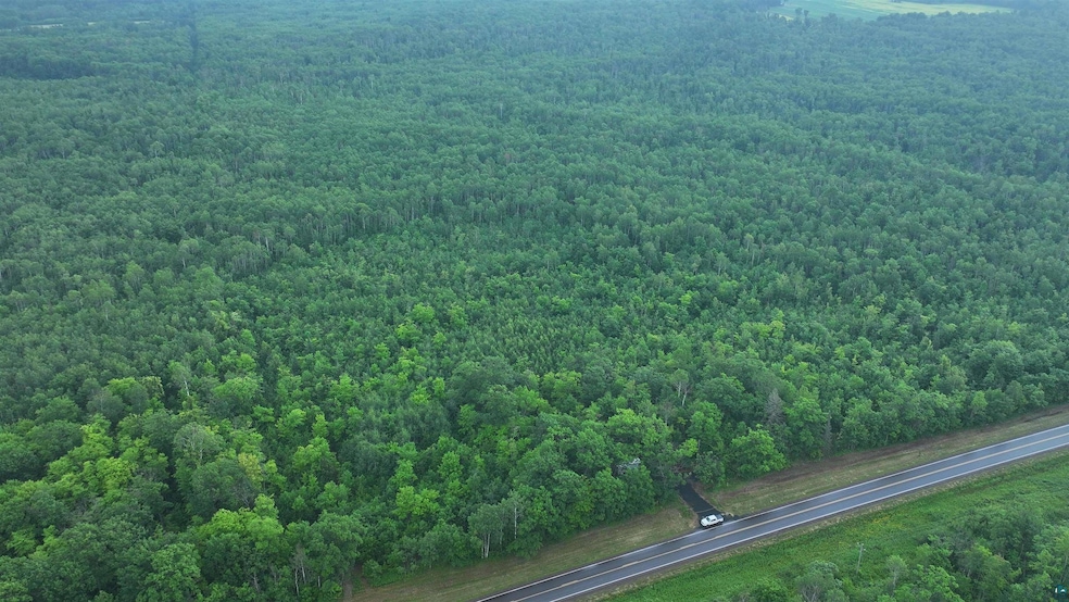 10 Acres On County Highway A, Iron River, WI 54847 - photo 1