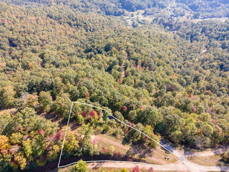Lot 64 Lyle Mountain Trail, Franklin, NC 28734 - photo 1