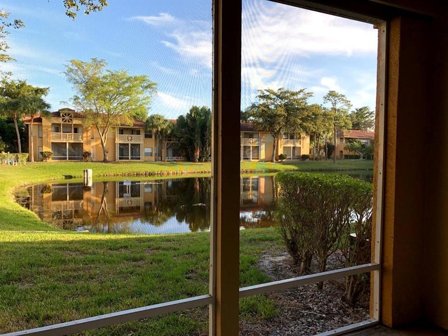 View From Screened Patio