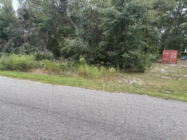 unlisted-address, Ocklawaha, FL 32179 - photo 1