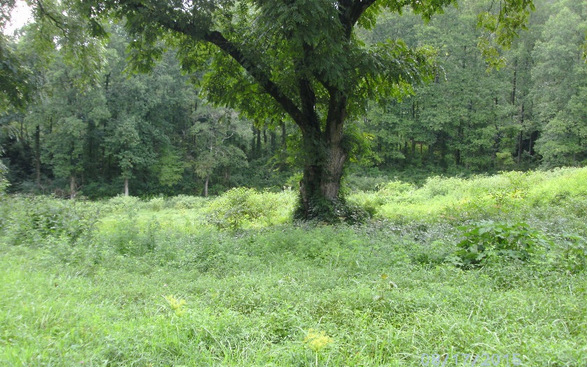 0 S Jones Mill Rd unit 250940, Ellijay, GA 30540 - photo 1