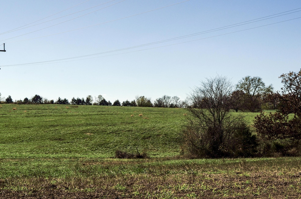 DSC_0001 (1)
