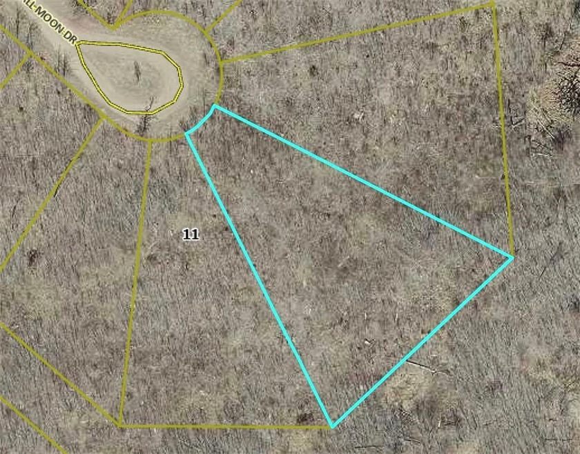 Lot 11 Tall Moon Dr, Jackson Township, WI 54830 - photo 1