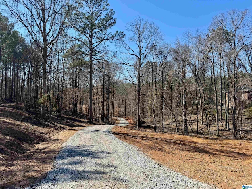 Sold $51,870 • Co-Listing Agent