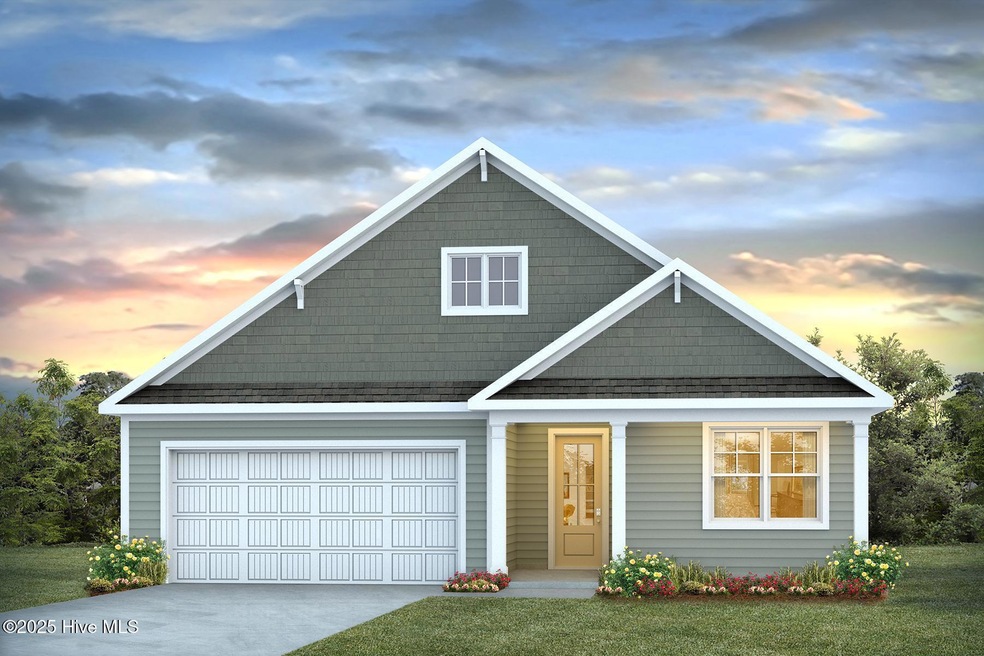 Lot 243 Cypress color