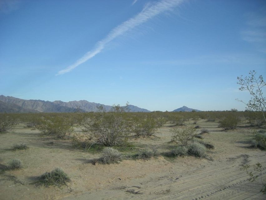 Ron Brickner; 40 acre's 145