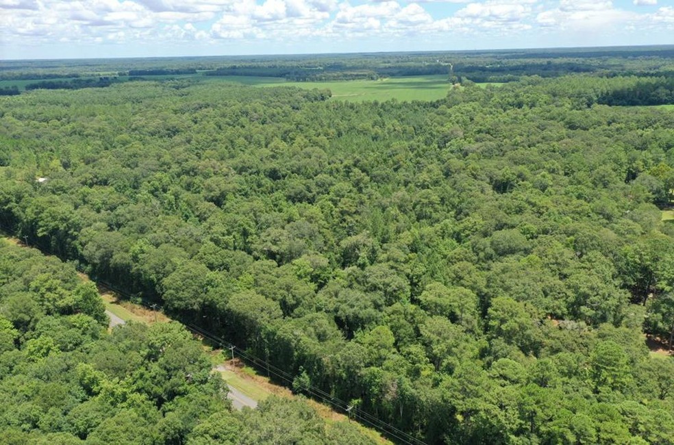 6880 Hall Rd, Coolidge, GA 31738 - photo 1