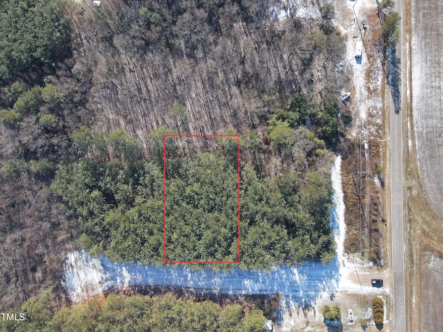 dji_fly_20250111_111242_534_173661197264