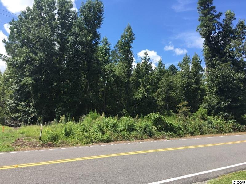 1.38 Acs W Highway 19, Loris, SC 29569 - photo 1