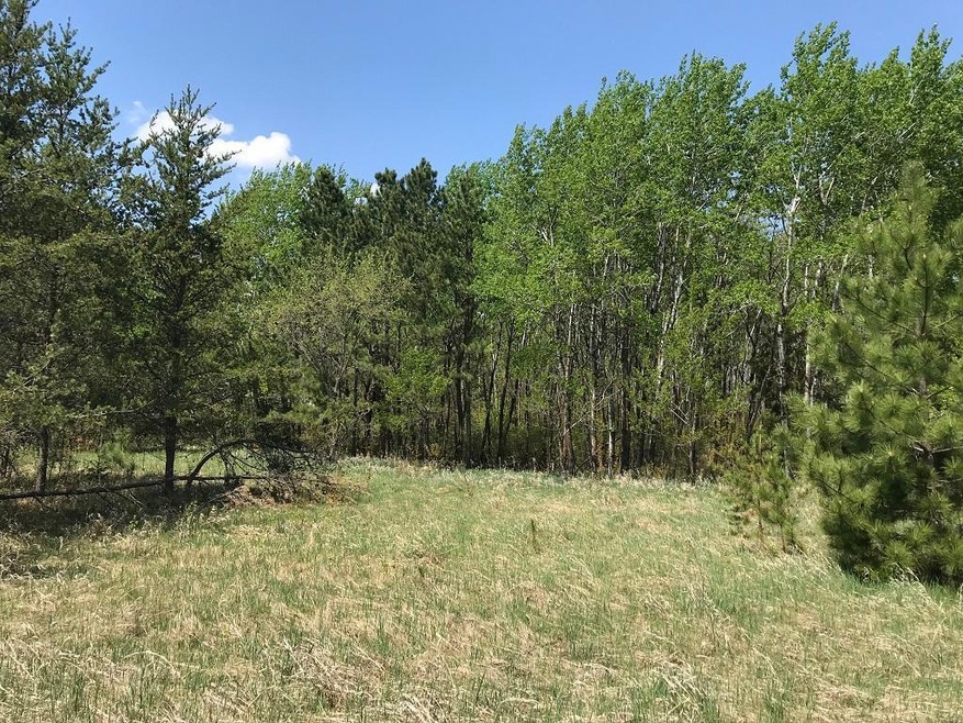 TBD State Hwy 34, Park Rapids, MN 56470 - photo 1