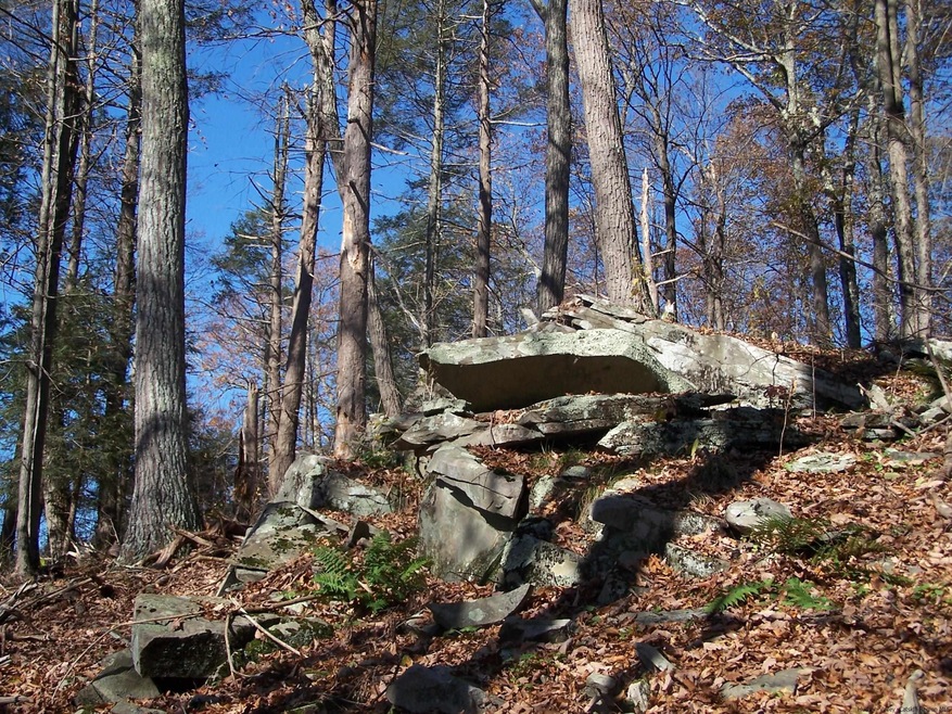 334 Swartekill Rd, Esopus, NY - photo 1