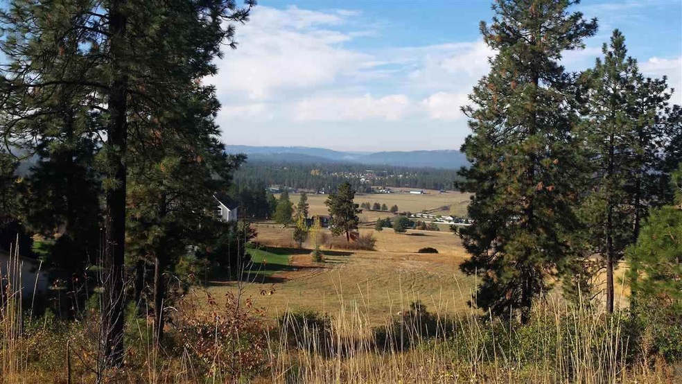 0 N Green Bluff Rd unit 201513507, Colbert, WA 99005 - photo 1