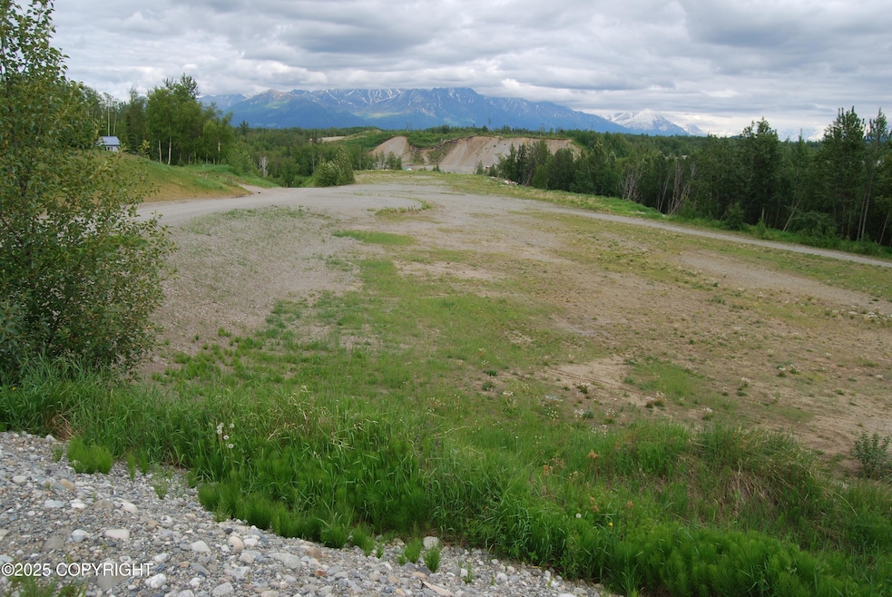 Airstrip in Miller's Field Add #1