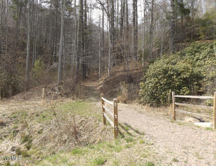 304 Honeymoon Lot 69 Hollow, Butler, TN 37640 - photo 1