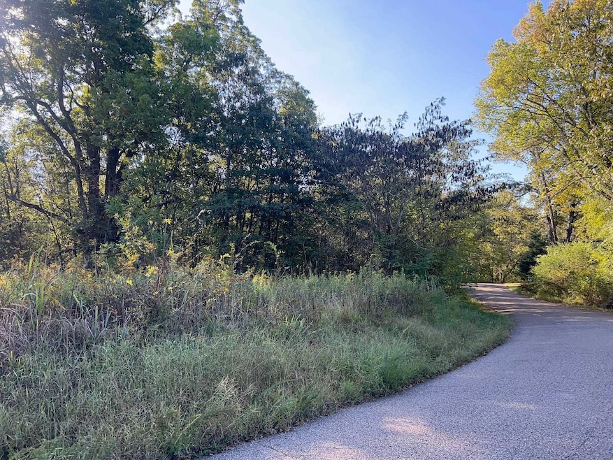 0 Cemetery Rd, Michie, TN 38357 - photo 1