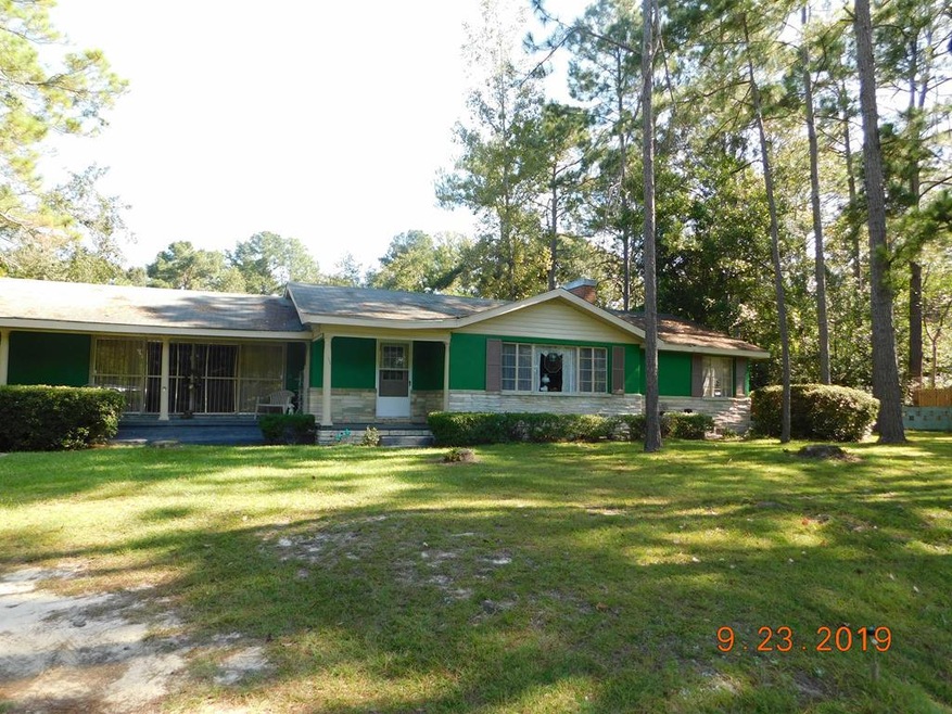 448 NW Mlk jr Blvd, Pelham, GA 31779 - photo 1