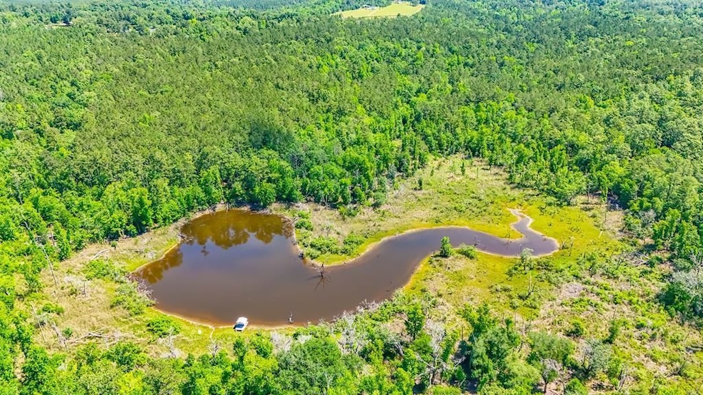 Dell Rd, Bainbridge, GA 39819 - photo 1