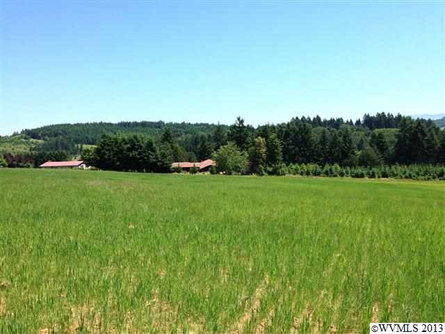 Beautiful hillside property with valley views, wat