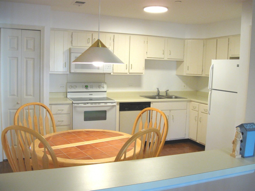 2109 Ammer Ridge Ct unit 202, Glenview, IL 60025 - photo 1