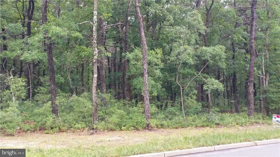 0 Elizabeth Ave, Berkeley Township, NJ 08721 - photo 1