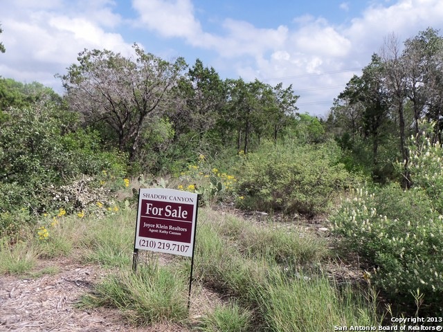 12319 Cross Cut, Helotes, TX 78023 - photo 1
