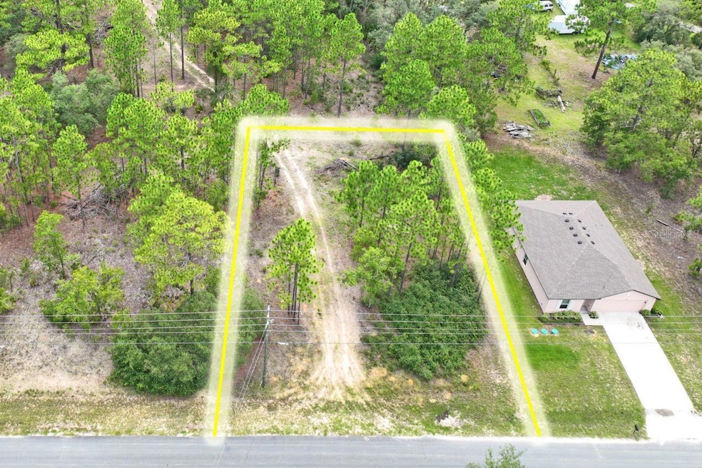 9452 N Paradisea Dr, Citrus Springs, FL 34433 - photo 1