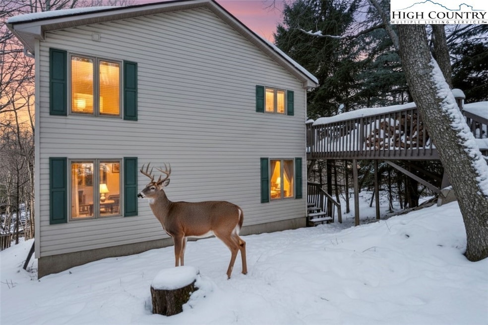101 Doe Ln, Beech Mountain, NC 28604 - photo 1