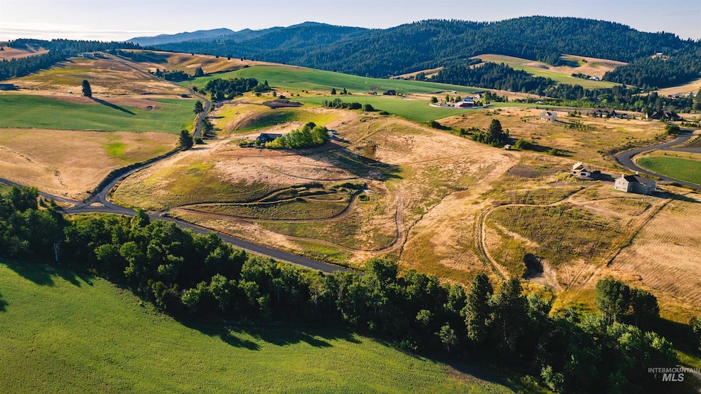 1070 Chaney Rd, Viola, ID 83872 - photo 1