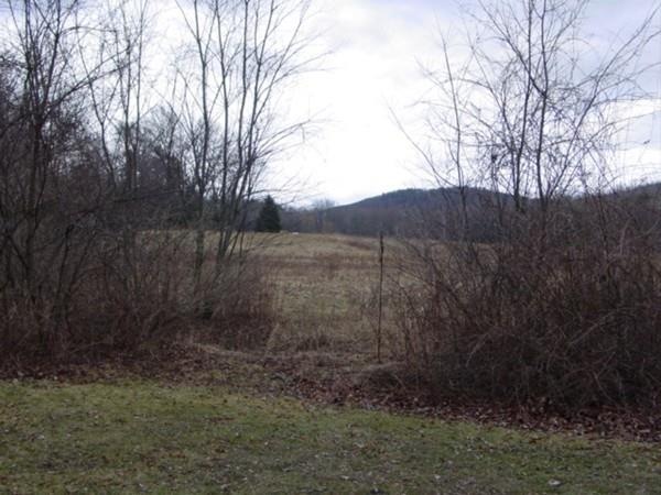 863 Glendale Rd, Wilbraham, MA 01095 - photo 1