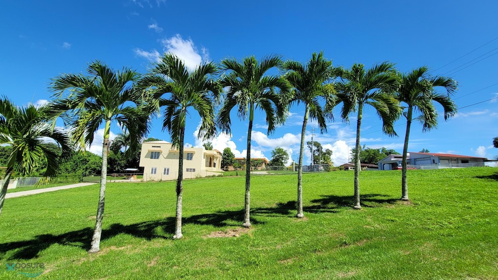 111 Carr Prairie, San Sebastián, PR 00685 - photo 1
