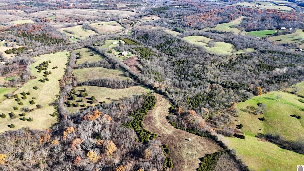 8100 U S Highway 62, Cynthiana, KY 41031 - photo 1