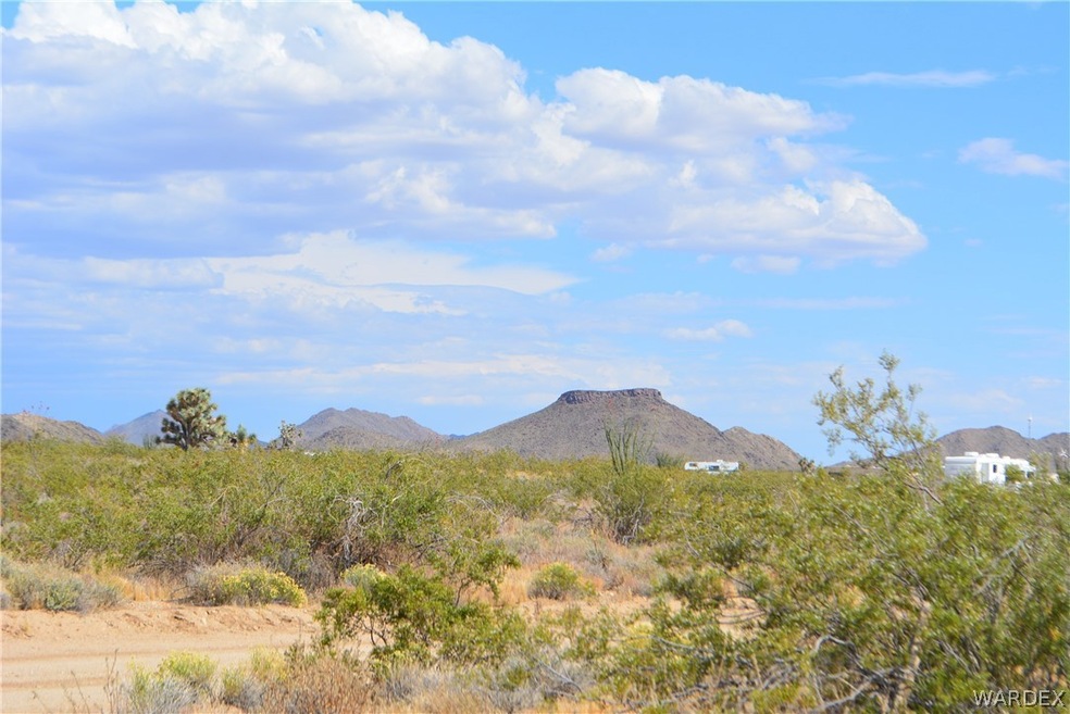 P7 S Central Rd, Yucca, AZ 86438 - photo 1