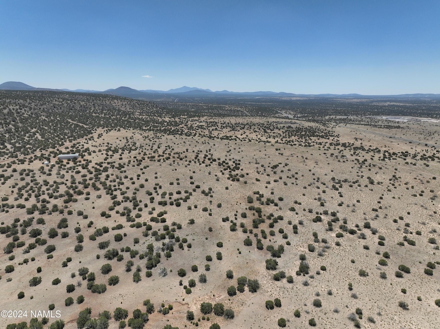 DJI_20240615120931_0186_V