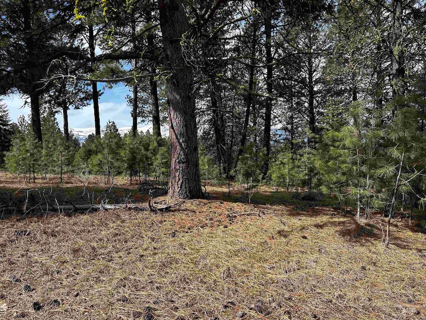 1483 Pine Lakes Ranch Dr, Cascade, ID 83611 - photo 1