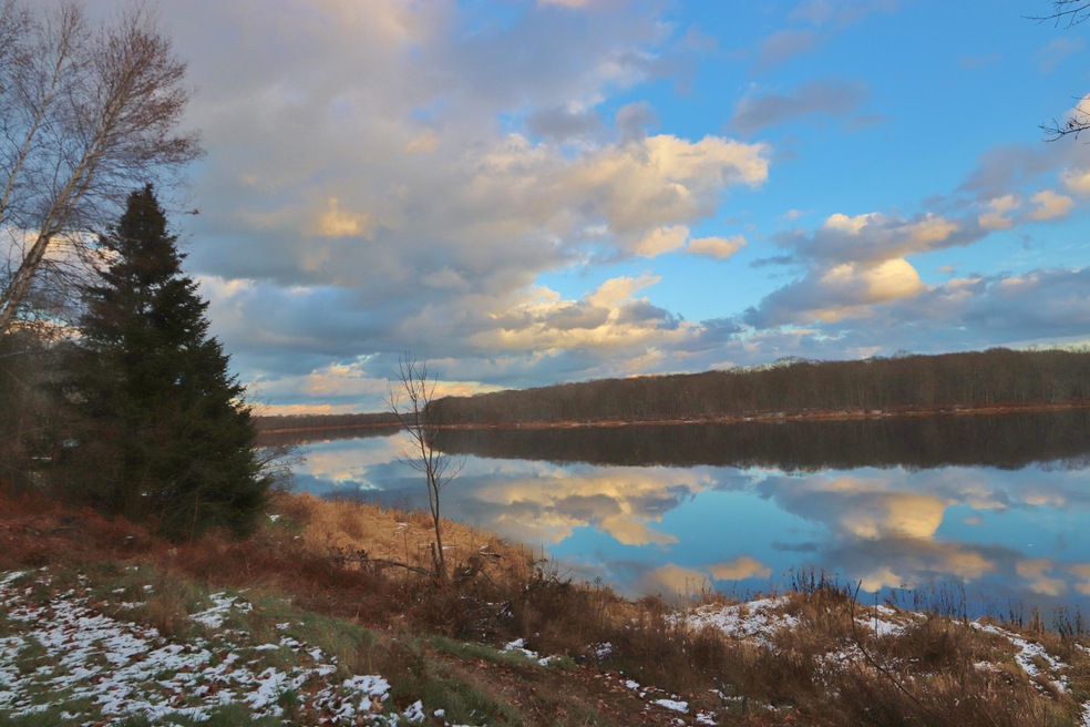 Sold $82,000 • Co-Listing Agent