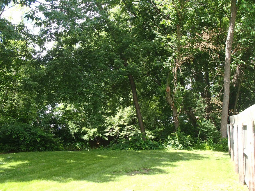 7 Cobb St, Keene, NH 03431 - photo 1