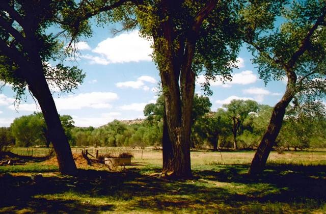 unlisted-address, Cornville, AZ 86325 - photo 1