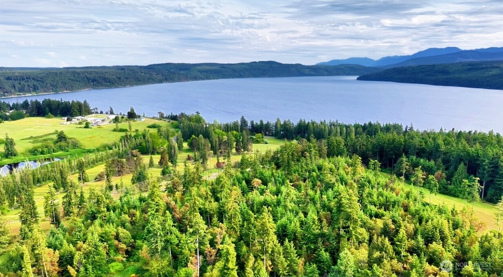 7401 Cape George Rd, Port Townsend, WA 98368 - photo 1