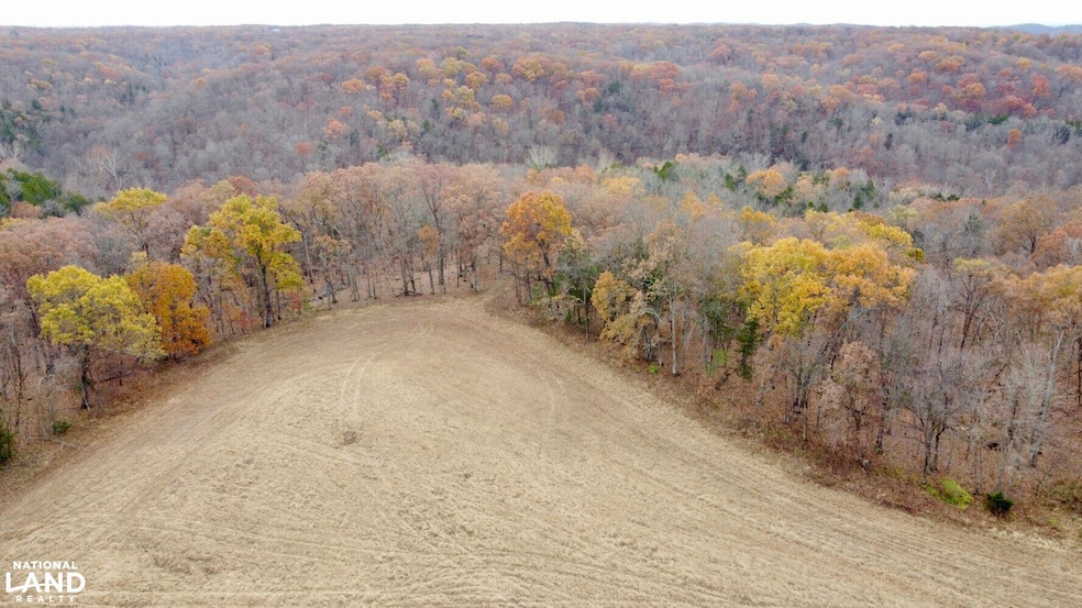 0000 Polston Ln, Hickory Grove Township, MO 63357 - photo 1