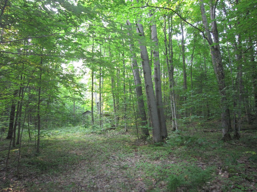 4.3 acres