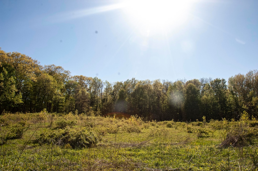 6877 N Nature Ln, Laporte, IN 46350 - photo 1