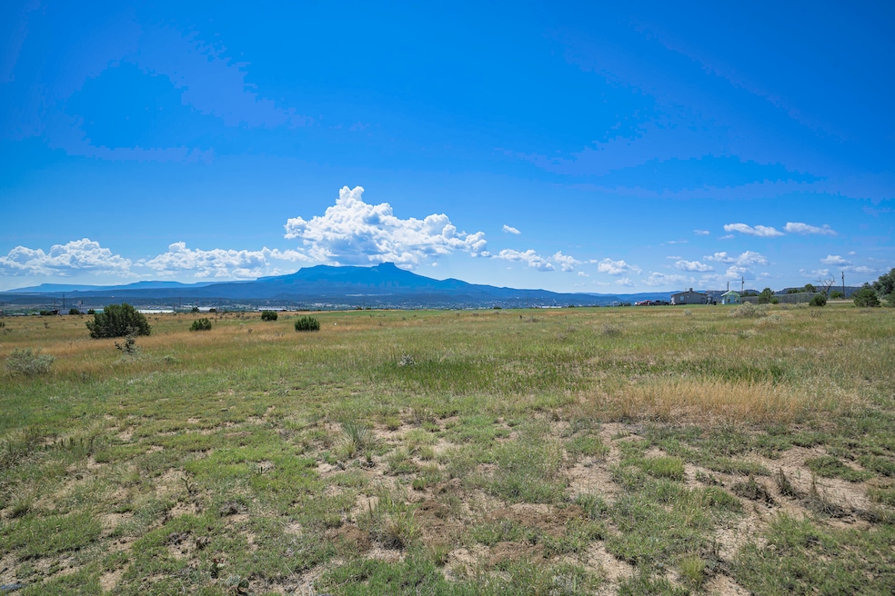 15038 Cr 71 1, Trinidad, CO 81082 - photo 1