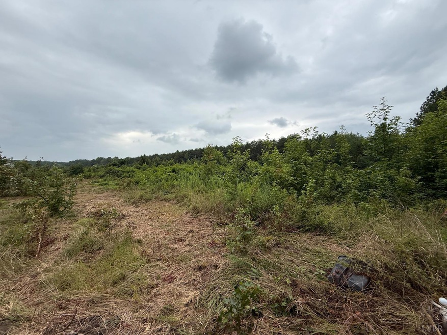 2820 Edmunds Rd, Gretna, VA 24557 - photo 1