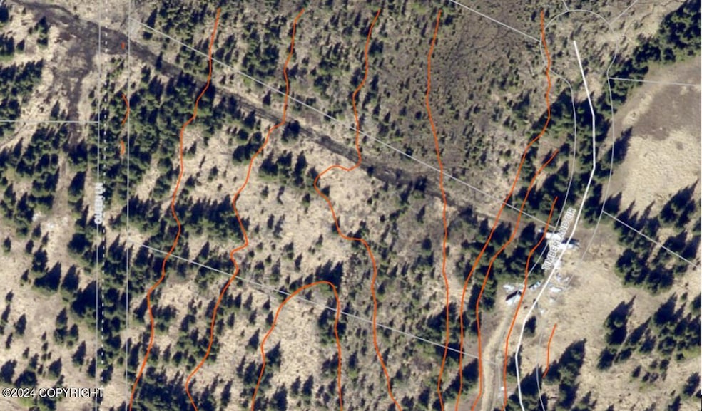 W7 Alaskan Wildwood Ranch(r), Nikolaevsk, AK 99556 - photo 1